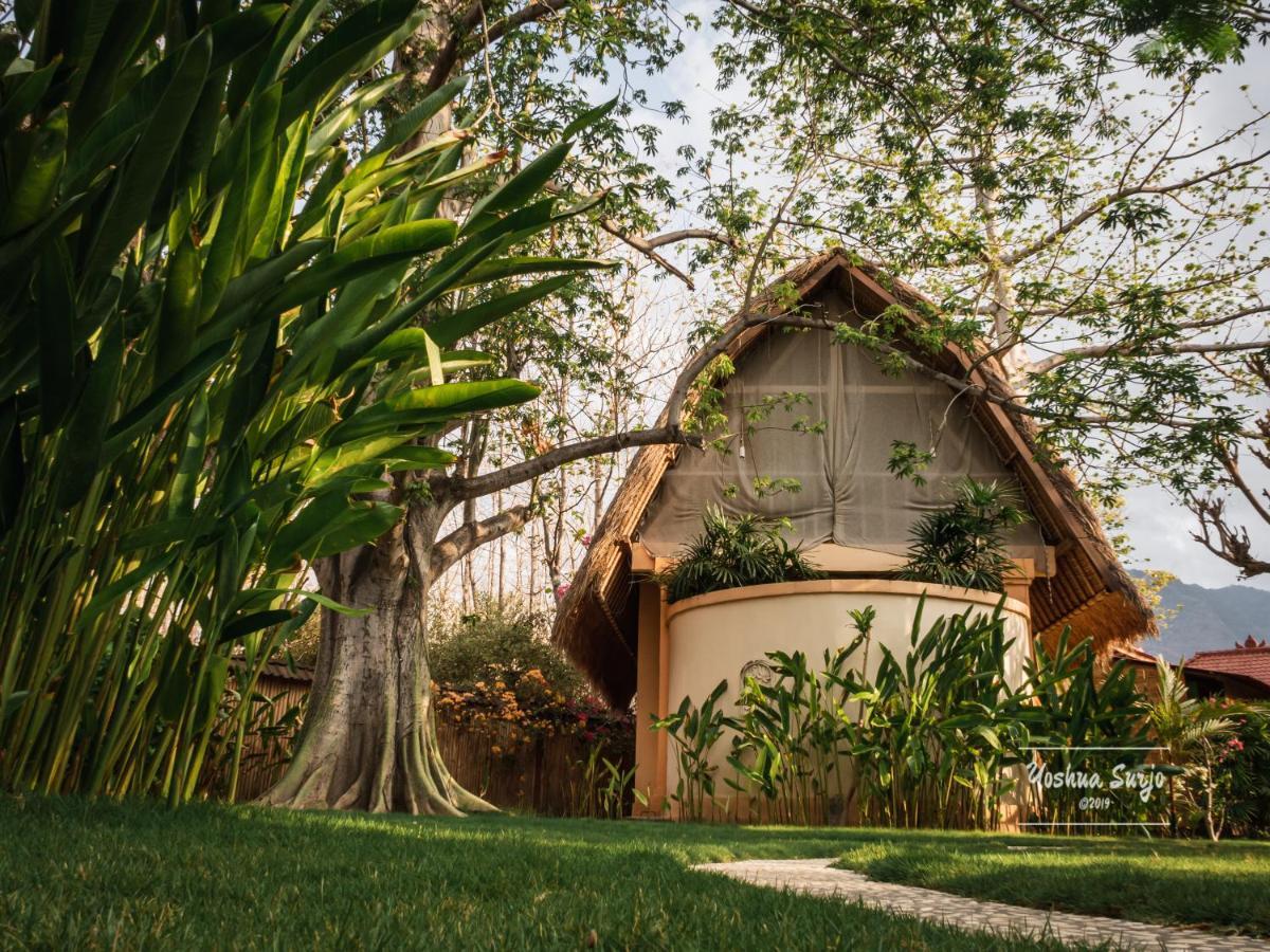 Kuda Laut Bungalows & Diving Pemuteran  Exterior photo